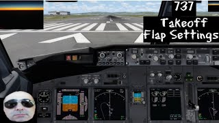 Takeoff Flap Settings PMDG 737