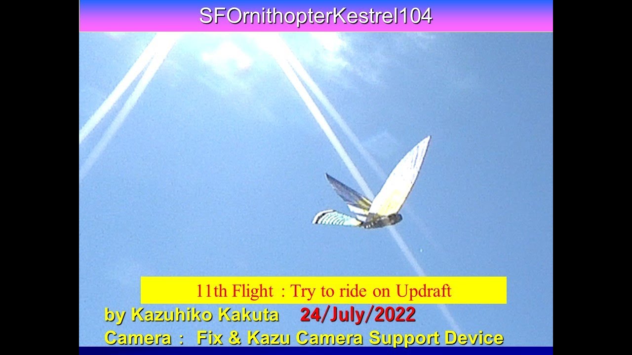 サーボ駆動チョウゲンボウ型羽ばたき機 49g SFOKestrel104 11th