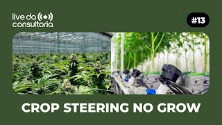 Crop Steering no Cultivo de Maconha: Como Manipular o Crescimento e a Floração com Precisão