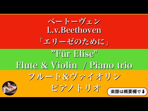 For Elise (Flute & Violin /Piano trio ) - Beethoven