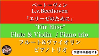 For Elise  (Flute & Violin /Piano trio ) - Beethoven 
