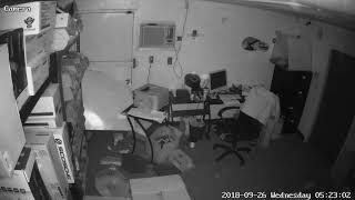 Break-in at Bakersfield Car Audio