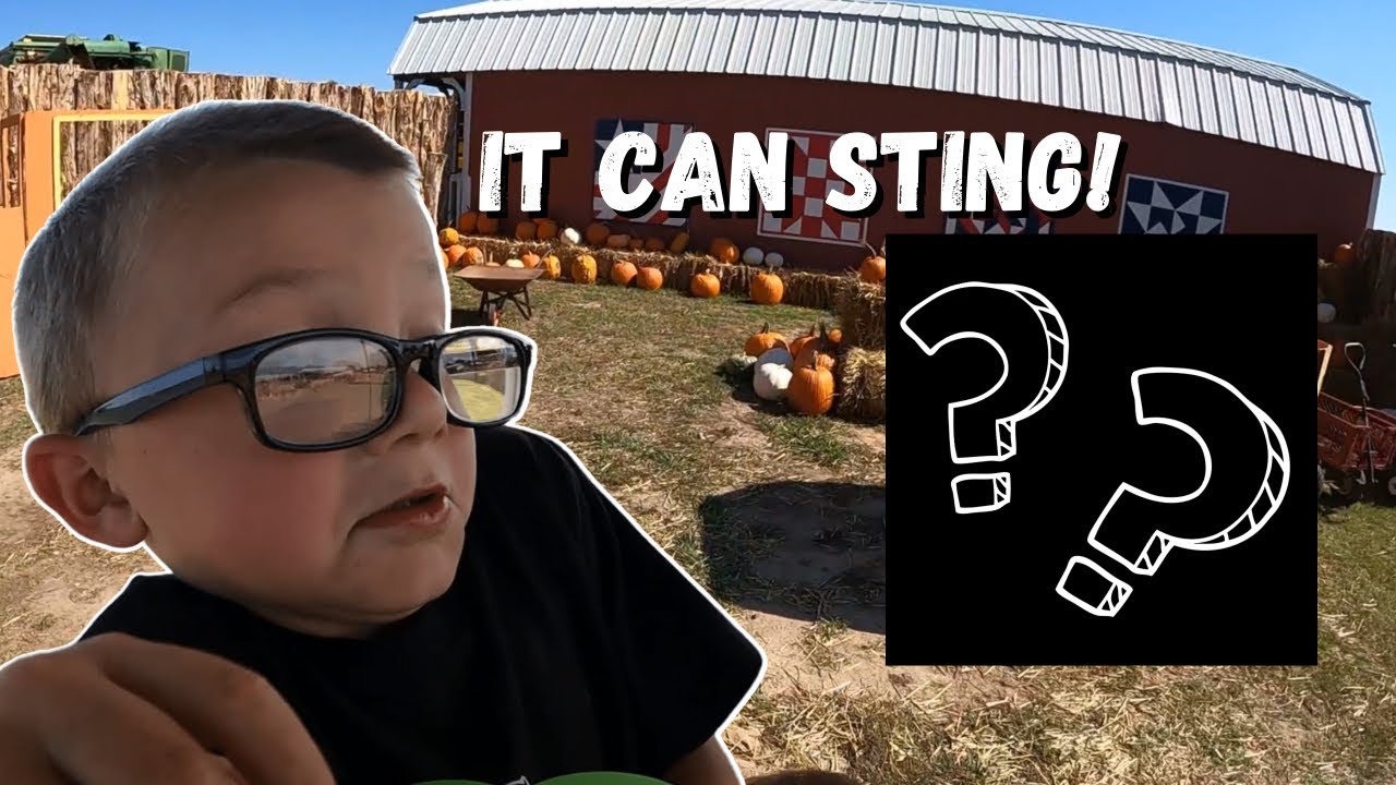 WE DIDN’T EXPECT TO SEE THIS - YouTube