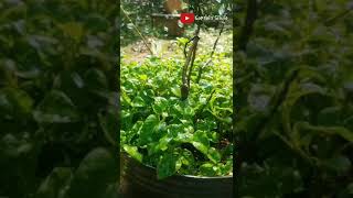 #17 I Want You To Love Me by Taylor