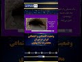 کارنامه دوران پهلوی کارنامه دوران پهلوی