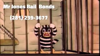 Fort Bend Bail Bonds