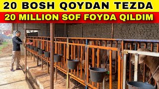 20 BOSH QOCHQORDA 20 MILLION DAROMAD QILISH VA BOQISH SIRLARI