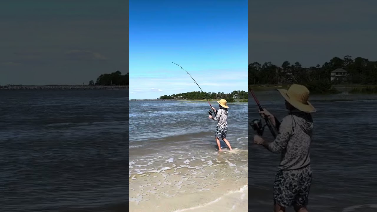 Catching a Blacktip Shark at Nassau Sound