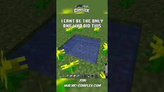 we all did it #minecraft #minecraftmemes #minecraftshorts #mccomplex #meme #minecraftbuilding