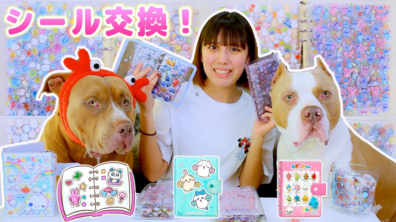 Pitbull and sticker exchange 💕 Negotiations can't be finalized