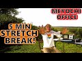 Meyochi office  your 5 minute stretch break
