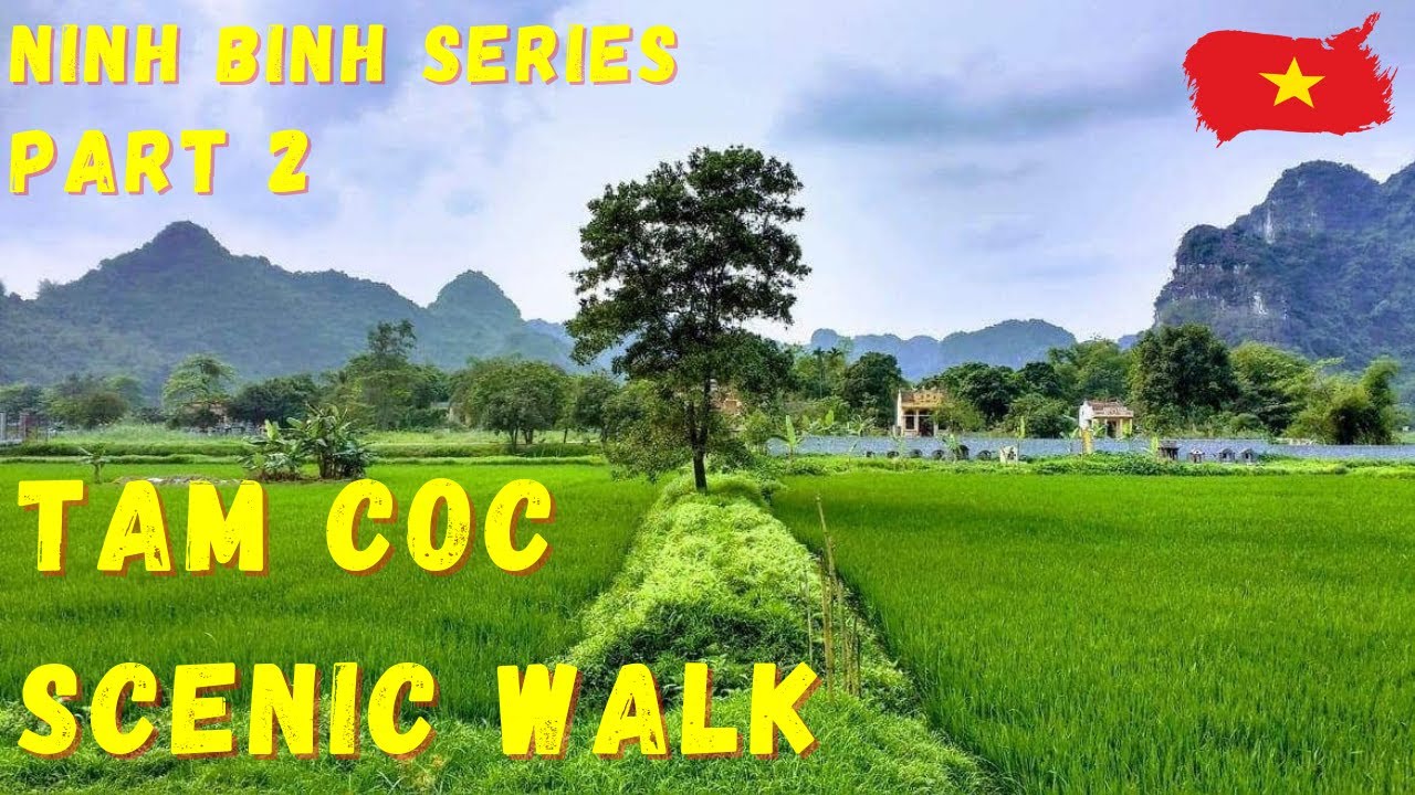 Amazing Tam Coc Scenic Walk | Halong Bay On Land | Ninh Binh Series