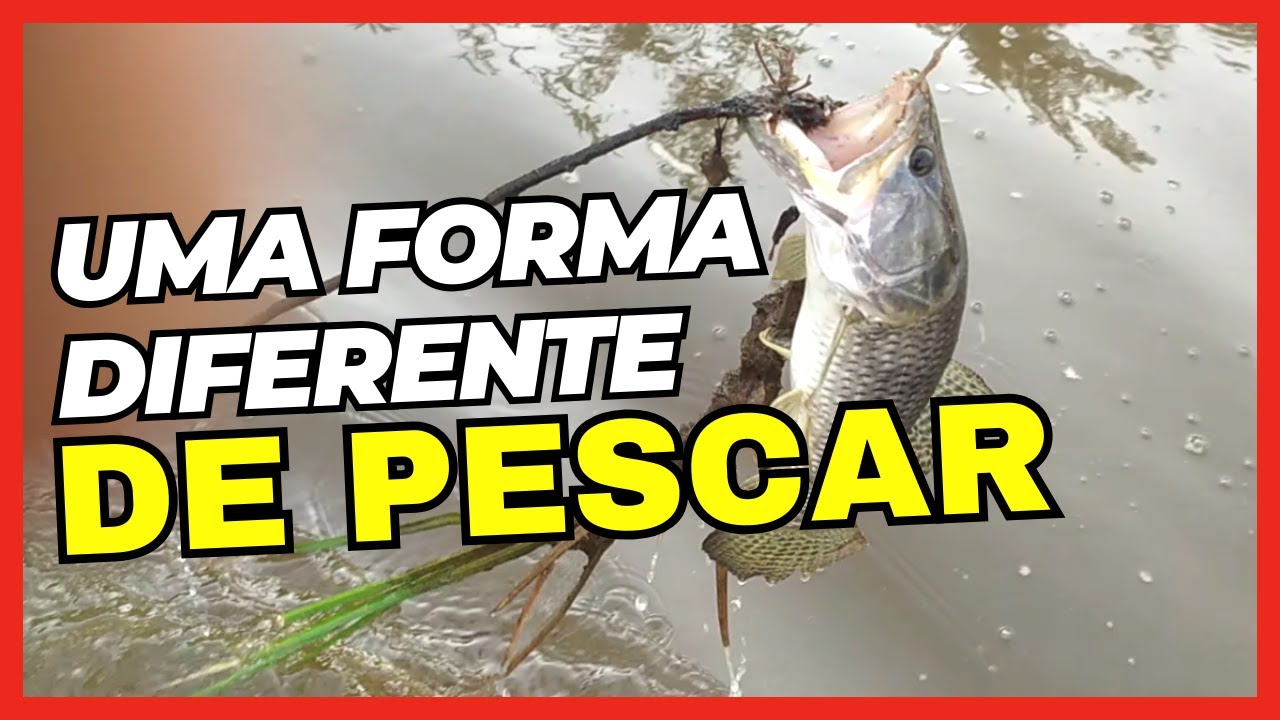 Como Se Escreve Vinheram - RETOEDU