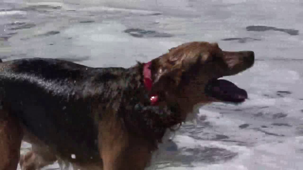 Hollys Story by Richard and DJ