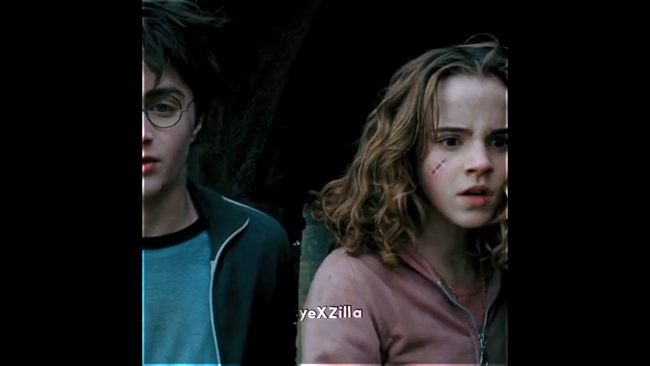  Harry And Hermione In This Scene