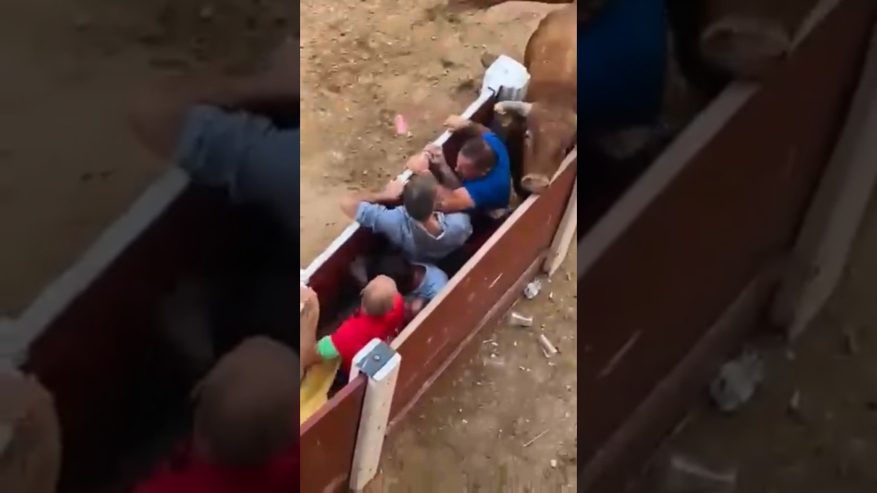 toro bravo arriazu se mete burladero susto Peñafiel