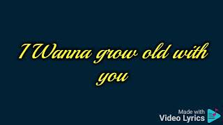 I wanna grow old with you_Westlife (Lyrics)