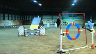 Agility Running Contacts Online Class Exercise - www.agiltiyrunningcontacts.com