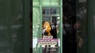 SECRET Fantastic Beast at Epic Universe! 😮🪄(Hidden Demiguise Ministry of Magic)