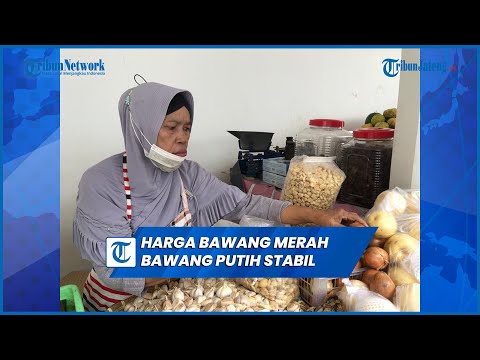 Harga Bawang Bombay Per Kg