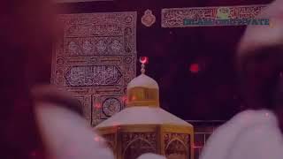 Muhammad Raza Sadiq Mustafi Best Bayan