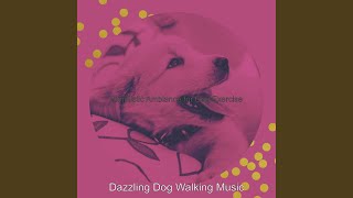 Deluxe Backdrops for Dog Exercise