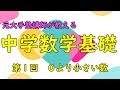 【中1数学】元大手塾講師が教える！中学数学基礎講座　第１回　0より小さい数