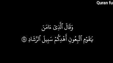 تلاوة خاشعة 😍❤️-حالات واتس اب - الشيخ مشاري العفاسي