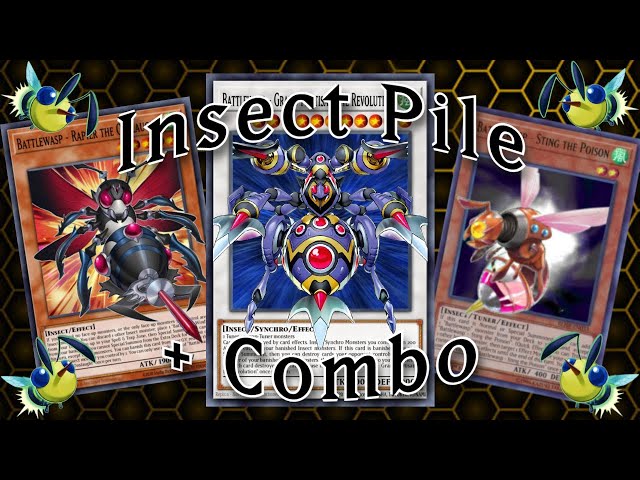 YU-GI-OH! INSECT PILE DECK PROFILE FEBRUARY 2025