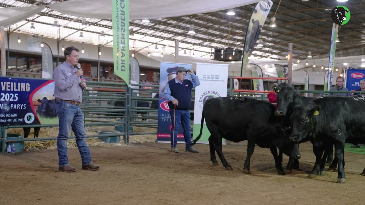 01   Functional Efficiency   Basic Philosophy