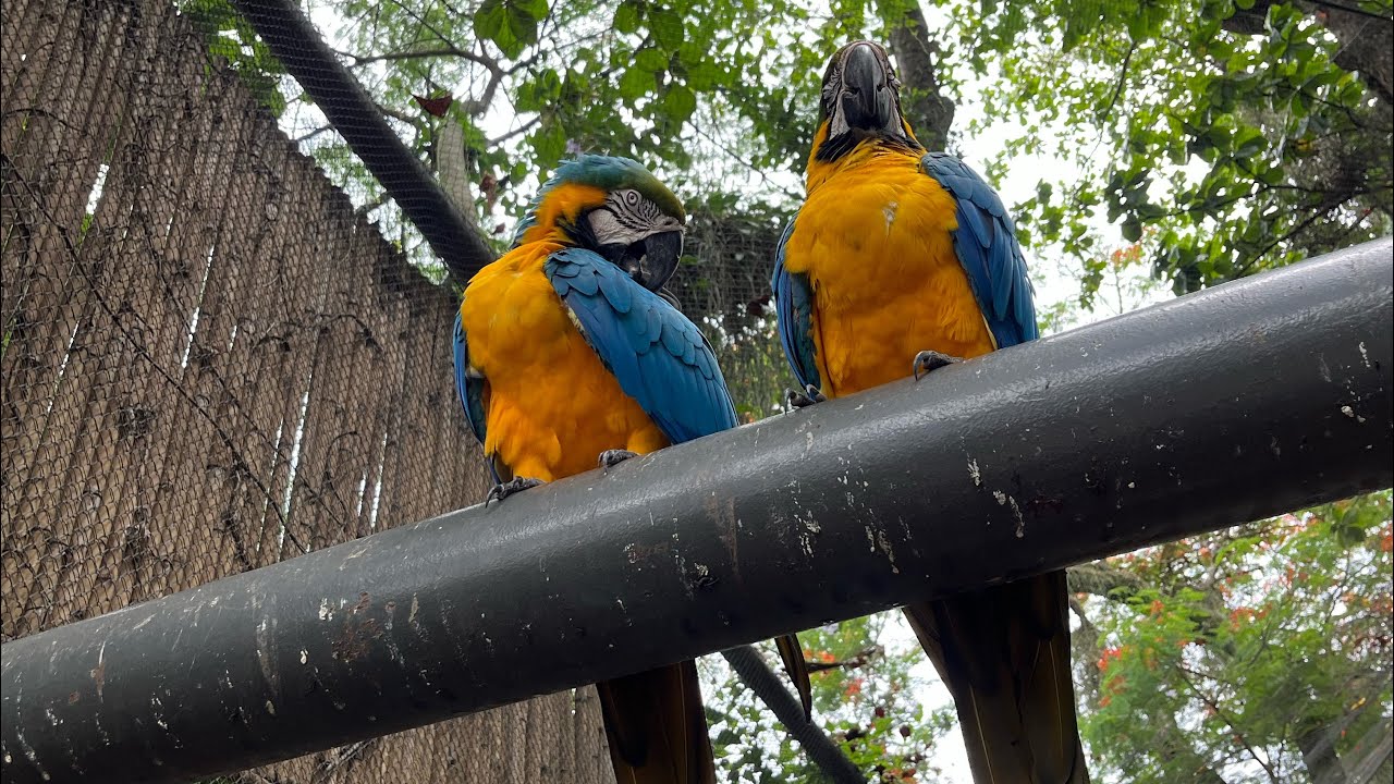 Rio De Janeiro / enero 2026 🇧🇷