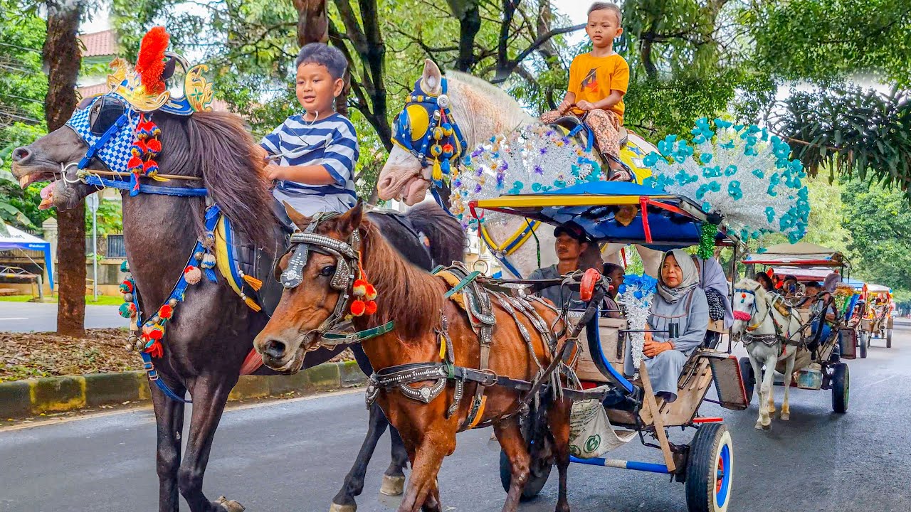 KUDA | KUDA DELMAN - NAIK KUDA | LAGU CICAK CICAK DI DINDING, BALONKU ADA LIMA, AYAM KUKURUYUK