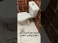 ثعبان في الحمام