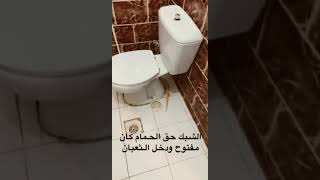 ثعبان في الحمام