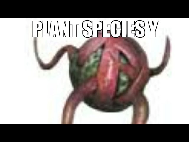Plant Species Y Guide Ark: Ragnarok