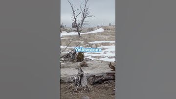 Thumbnail of Yellowstone National Park in April 2023 #music #rock #song #youtubeshorts ￼