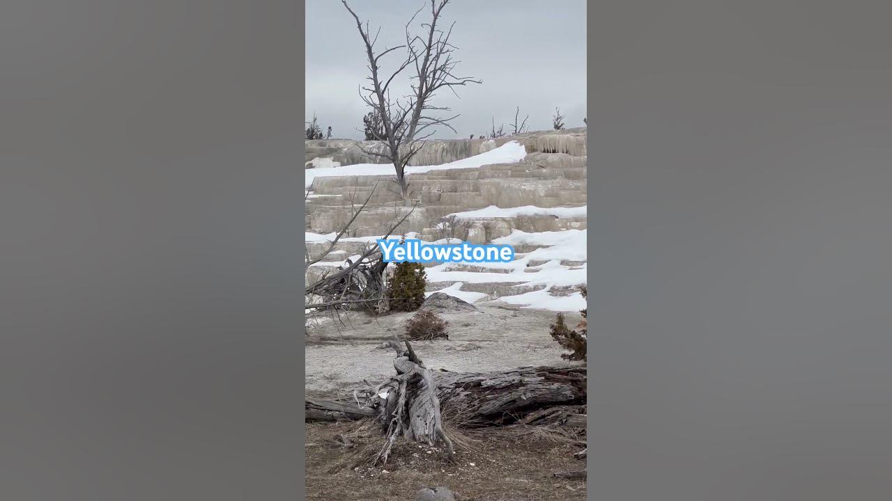 Yellowstone National Park in April 2023 #music #rock #song #youtubeshorts ￼