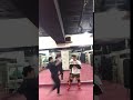 キックボクシング ムエタイ ミドルキック　kickboxing muaythai middle kick ＃115