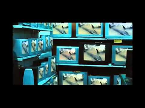 映画『BIUTIFUL　ビューティフル』予告編