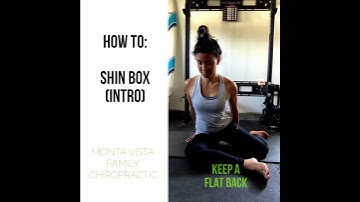 How to: Shin Box (an Introduction)