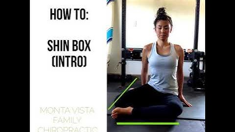 How to: Shin Box (an Introduction)