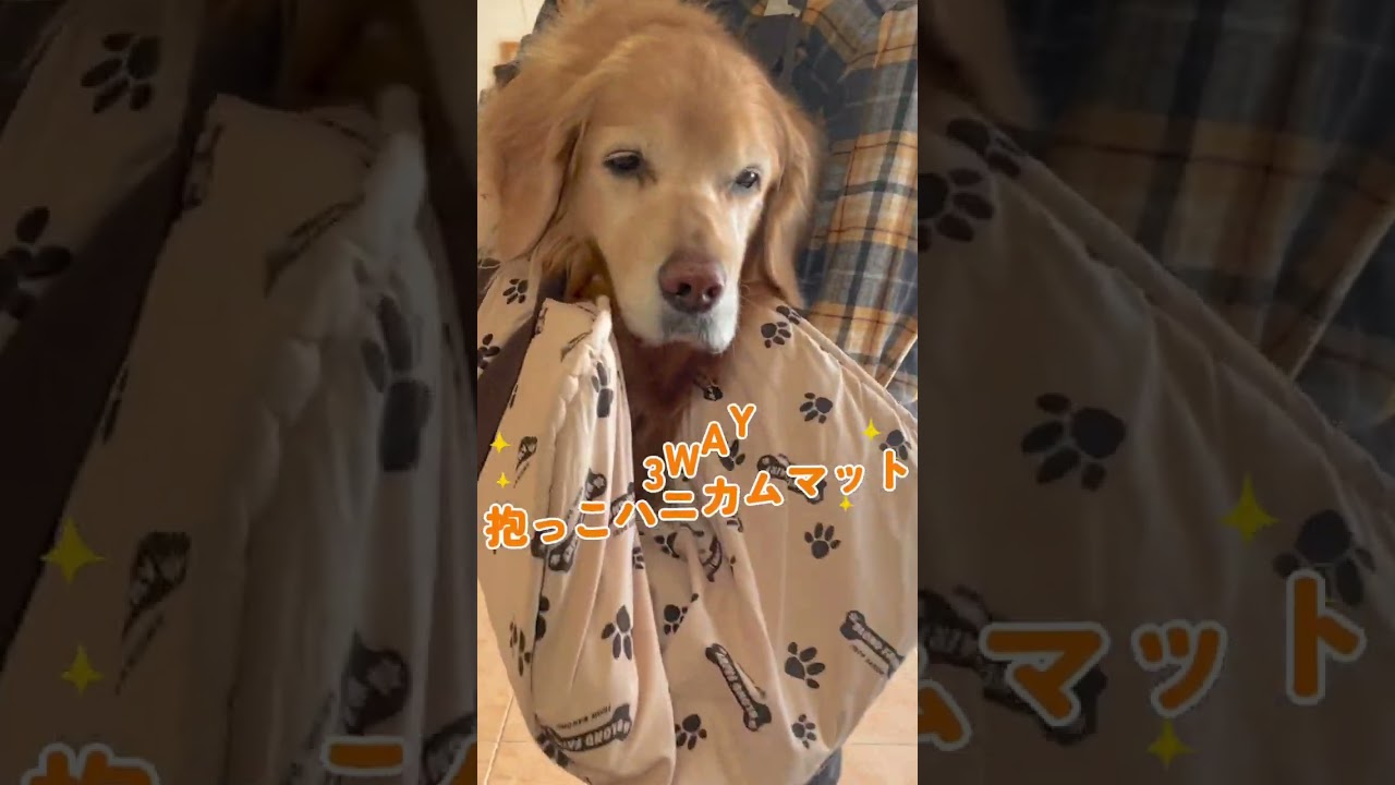 3WAY 抱っこハニカムマット（ショルダー付）