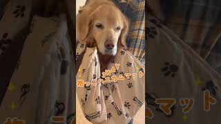 3WAY 抱っこハニカムマット（ショルダー付）