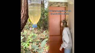 #illustration #tattoo #art #pov #procreate #drawing #whydidntmyexcomeback #digitalart