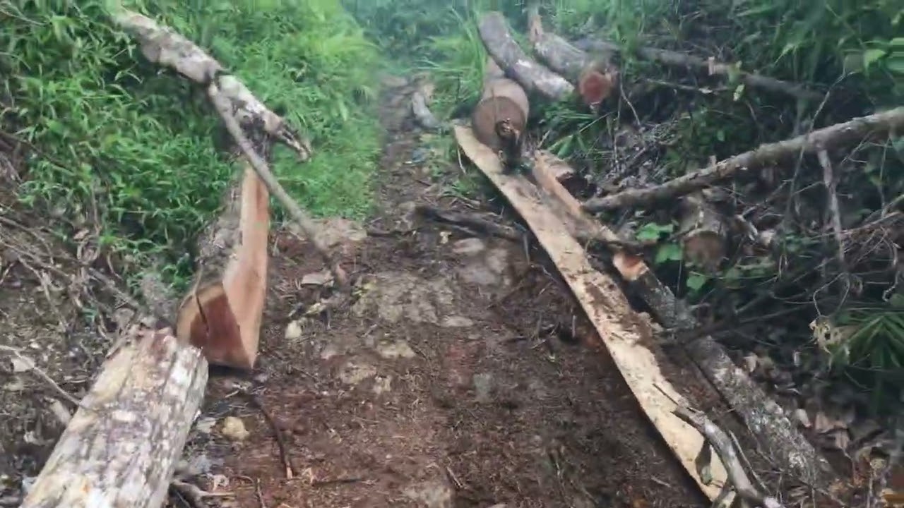 Ved16 4-3-22 trail angkol Mark kmx200 Bohol Trail Riders