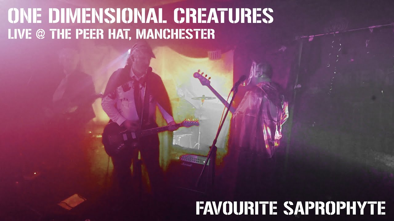 ONE DIMENSIONAL CREATURES - Favourite Saprophyte Live @ The Peer Hat, Manchester