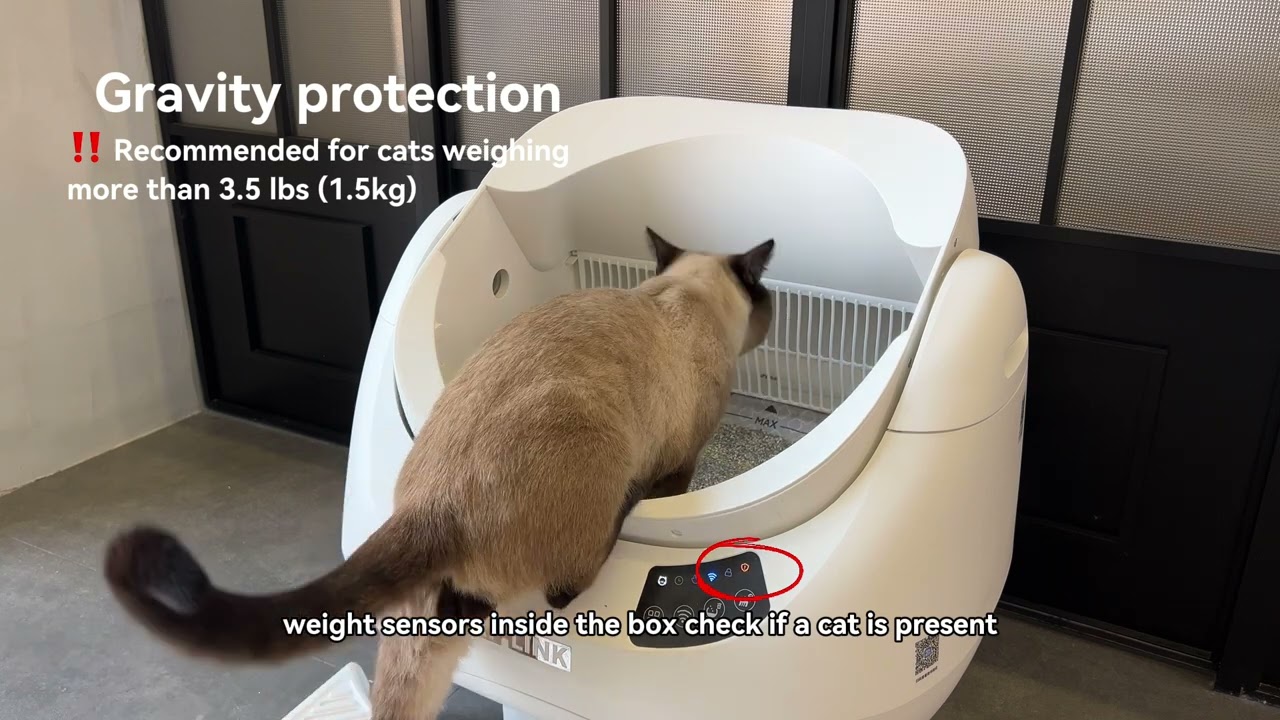 壊れたらどうする？保証や返品は？サポート体制抜群の猫用自動トイレ5選