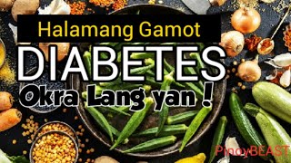 OKRA | Mabisang halamang gamot sa Diabetes