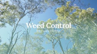 Weed Control - SAMFORD—SERF TRAIL