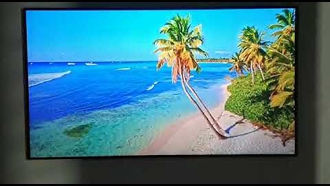 Screen Innovations Black Diamond Zero Edge Pro Screen